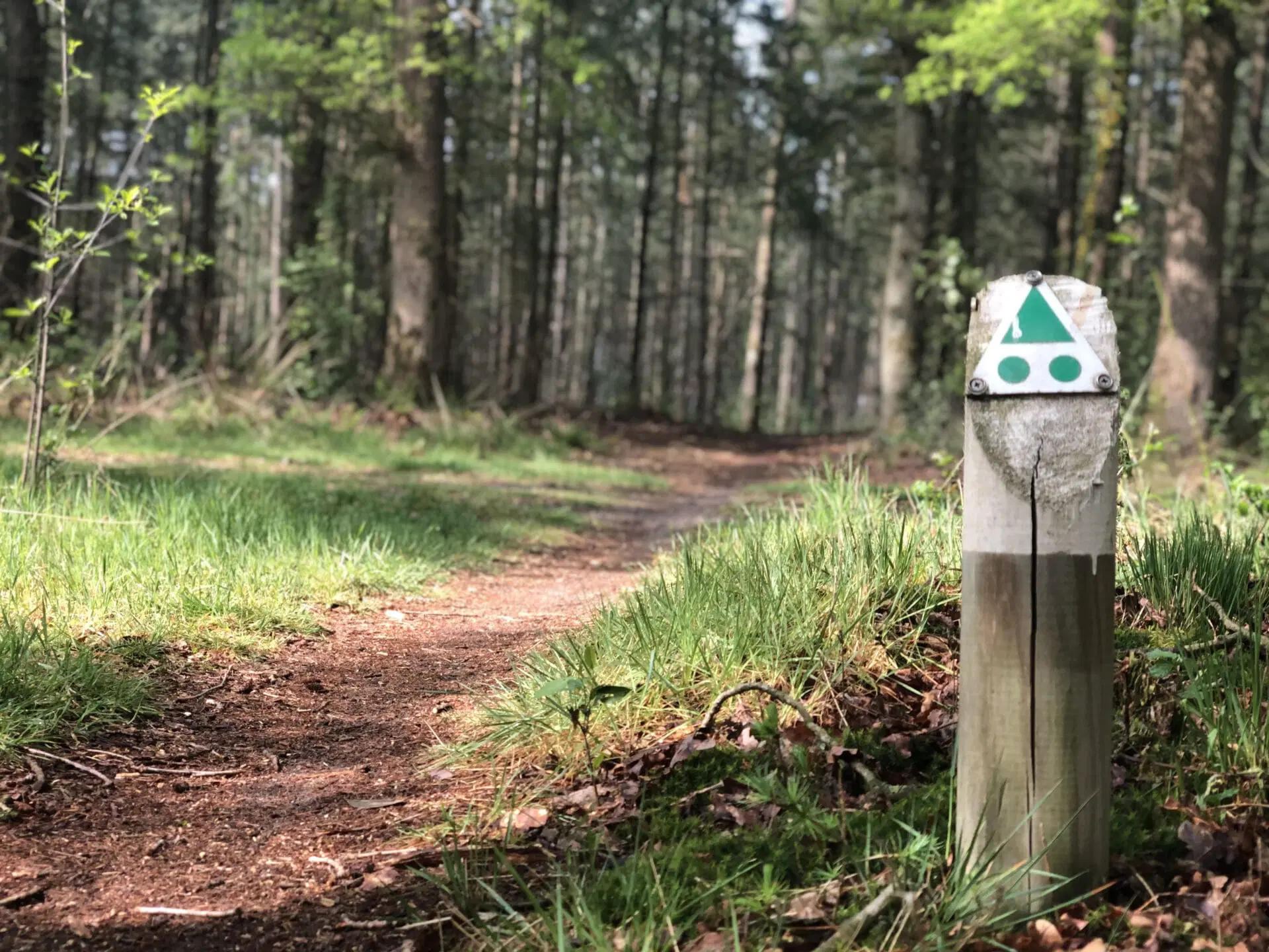 Mountainbike-route-bord